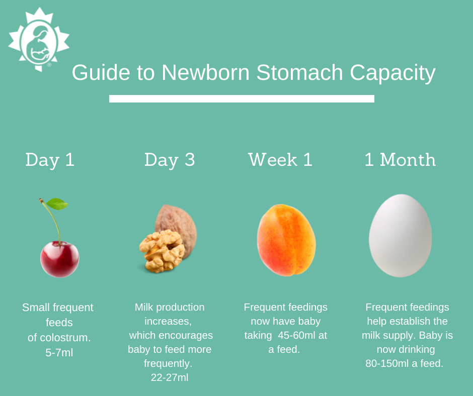 5 day old hot sale newborn feeding amount